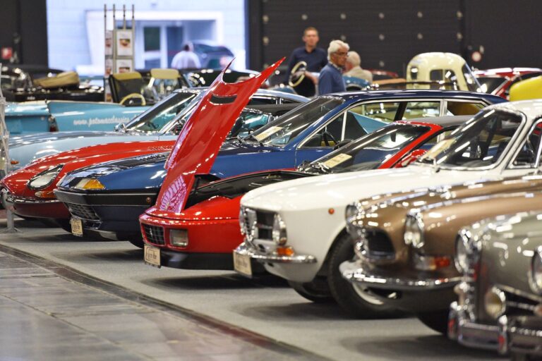 Classic and collector vehicles displayed during a professional car appraisal inspection.