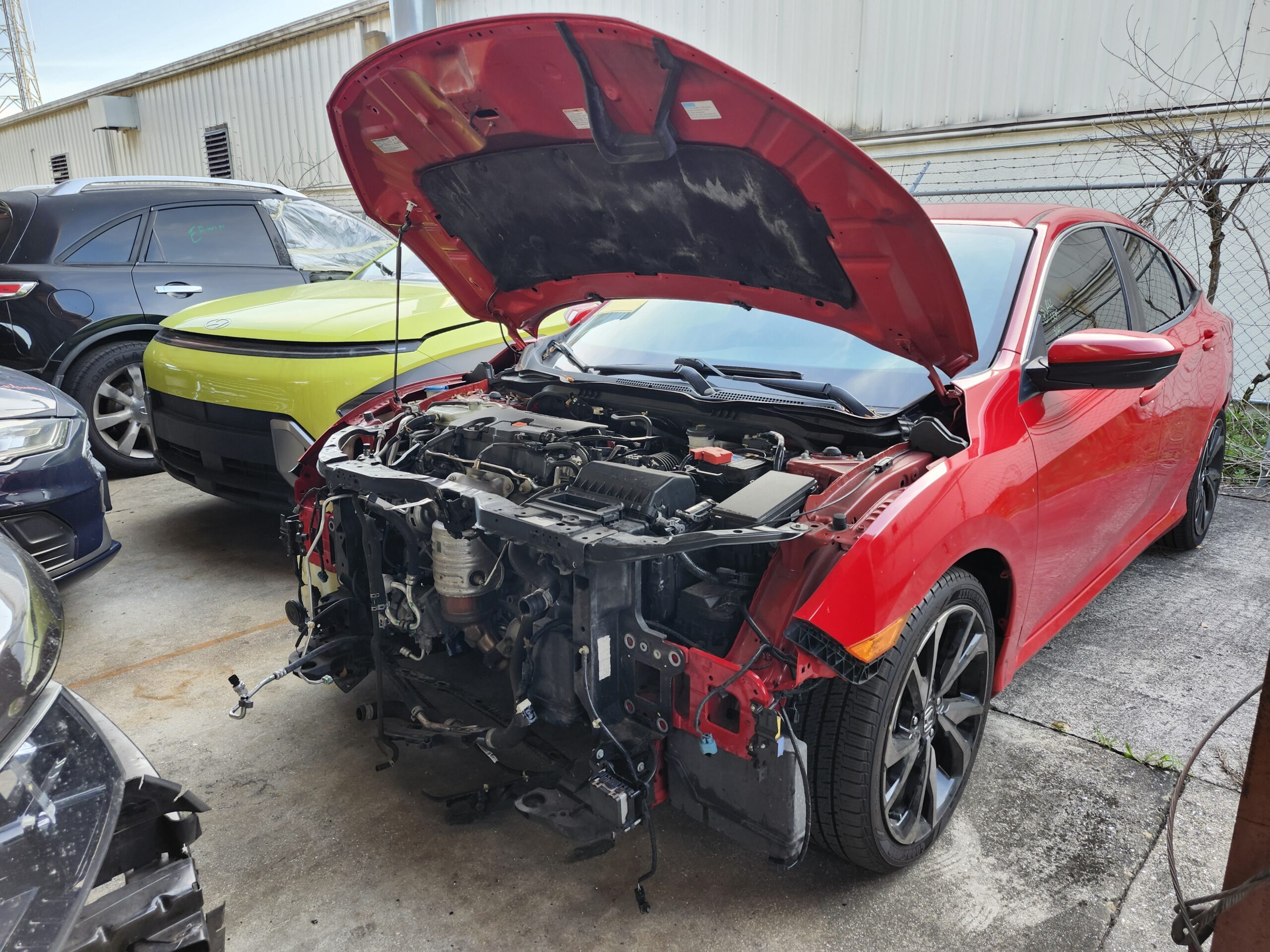 Red Honda Civic Sport with severe front-end collision damage and exposed engine bay in Royal Palm Beach for total loss appraisal